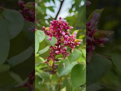 Miền tây - nơi bình yên giữa những điều bình dị nhất.. #Sudidaudo