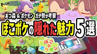 【ぽこあポケモン】ポケモン版あつ森！？ぽこポケの隠された魅力を解説！メタモンが主人公のスローライフを考察【ニンダイ】