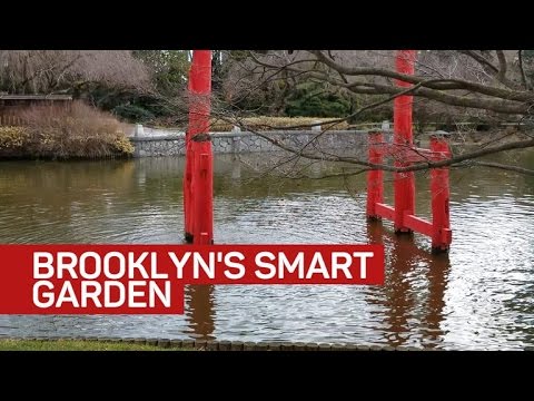 At Brooklyn smart garden, when it rains, it drains - UCOmcA3f_RrH6b9NmcNa4tdg