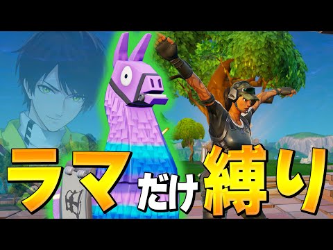 伝説の企画復活！ダマ縛りでビクロイできるのか！？【Fortnite/フォートナイト】
