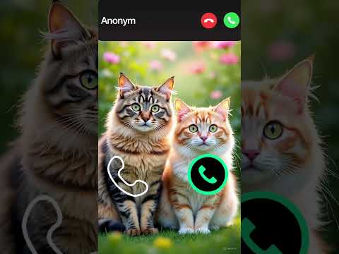 Cat Calling 😮#ringtone #cat #gato #babygirl #youtubeshorts #catlovers #viralvideo #iphone #shorts