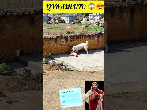 se você ama a Jesus, compartilha esse vídeo