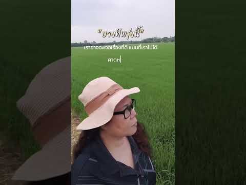 #อากาศสดชื่นฝนตกปรอยๆบรรยากาศสุดฟินค่ะ💕🌺🪴🌿