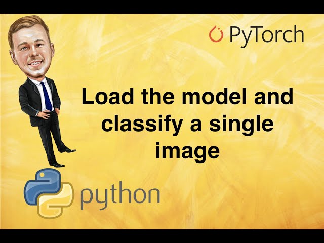 The Best Pytorch Image Models