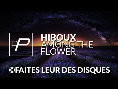 Hiboux - Among The Flower [Original Mix] - UCmqnHKt5pFpGCNeXZA3OJbw