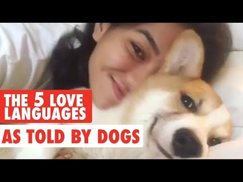 The Five Love Languages As Told By Pets - UCPIvT-zcQl2H0vabdXJGcpg