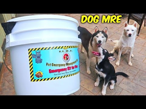 Dog MRE (Meal Ready To Eat) - UCe_vXdMrHHseZ_esYUskSBw