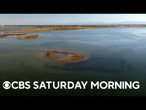 Venice’s low tides reveal ancient wonders, offer look into the future
