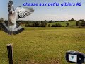 Chasse aux petits gibiers #2