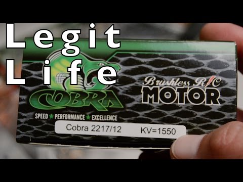 A Pack In The Life: Legit Wing - New Motor - UCTa02ZJeR5PwNZK5Ls3EQGQ