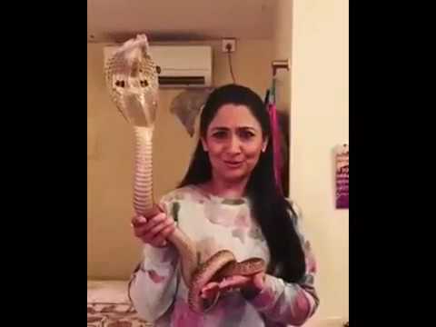 The Actress Got Arrested Because Of This Viral Video With Snake