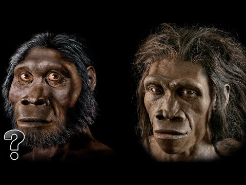 Did Humans Evolve From Apes? - UCb6IaF9LX5KlUXQqHFq2xbg