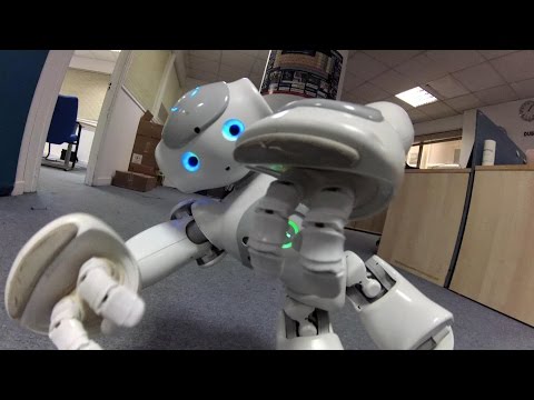 Nao Robot Tai Chi Fall Nut Cramp Ouch - UCsFctXdFnbeoKpLefdEloEQ