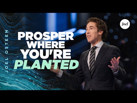 Prosper Where You're Planted  Joel Osteen
