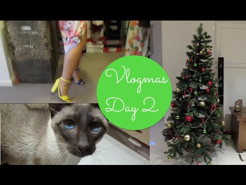 Vlogmas Day 2 2014 Crystal Conte - UChplUdodMCdfZfmTQbRhNWw