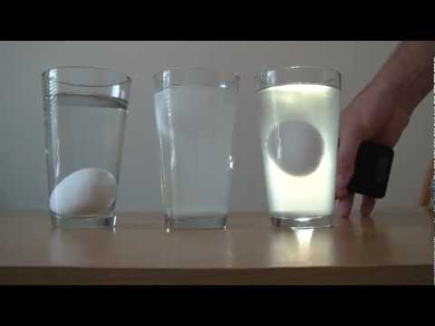 Floating Egg Experiment - UCe_vXdMrHHseZ_esYUskSBw