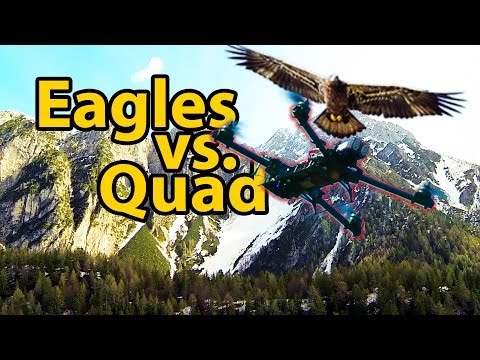 Quadcopter FPV in the Dolomites (Auronzo, Cadore Italy - Black Snapper downed by Eagles...) - UCIIDxEbGpew-s46tIxk5T3g