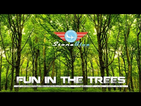 Fun in the Trees - UC0H-9wURcnrrjrlHfp5jQYA