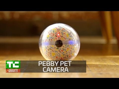 Pebby adds play to pet monitoring - UCCjyq_K1Xwfg8Lndy7lKMpA