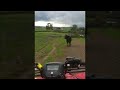 Bull Charges Man on Four Wheeler