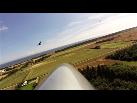 RC glider, buzzards and thermals - UCNI9R965fKyGrbDAdJRDKww