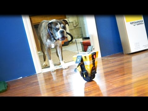 Claptrap terrorizes my dog - UCssW3gaIc8BHuPJQ4rFMQpg