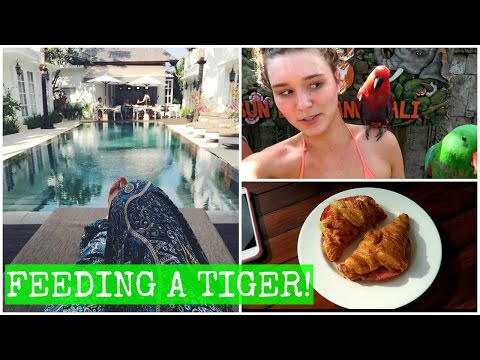 Having Lunch With A LION | Bali Vlog - UCPG6A5tNaPfv2SRNW2beq5Q