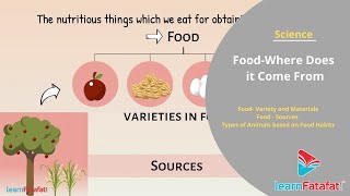 Food  - Where Dose It Come From Grade 6 Science Chapter 1 | LearnFatafat