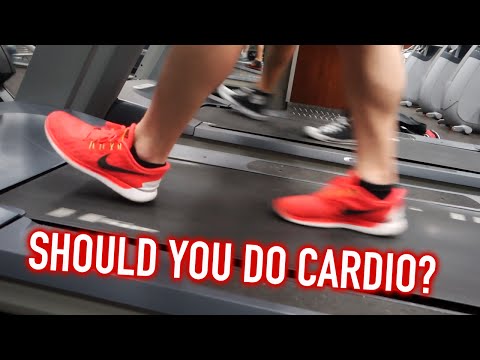 Should You Do Cardio? + 375 lb Bench Press ALL-TIME PR - UC68TLK0mAEzUyHx5x5k-S1Q