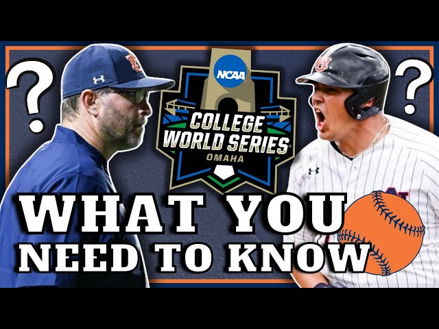 Get to Know the Auburn Baseball Stats for the Upcoming Season