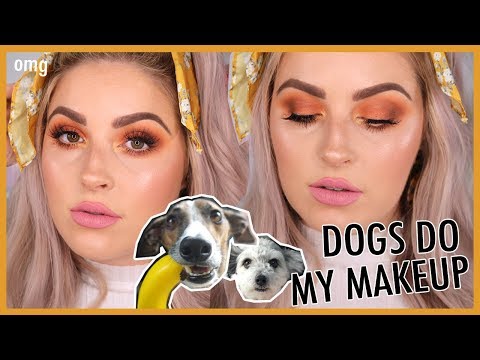 MY DOGS PICK MY MAKEUP!!  - UCMpOz2KEfkSdd5JeIJh_fxw