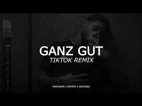 Bis hierhin liefs noch ganz gut | Pashanim x MoTrip x Wizzard | TikTok Remix