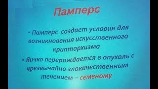 Памперс - Кастрация Мальчиков
