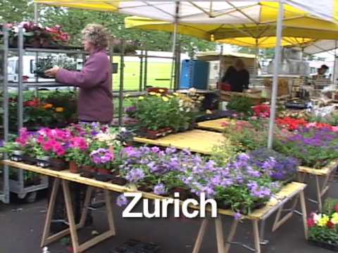 Zurich AT04 - UCvW8JzztV3k3W8tohjSNRlw