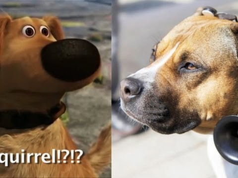 Crave - Will dogs speak human in 2014?, Ep. 150 - UCOmcA3f_RrH6b9NmcNa4tdg