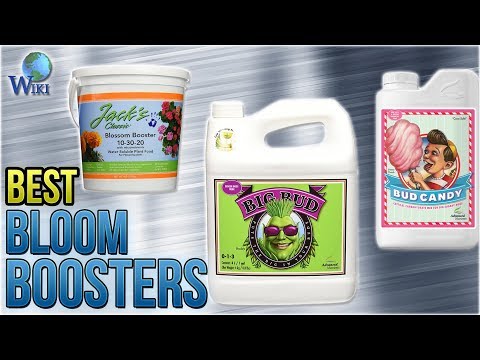 10 Best Bloom Boosters 2018 - UCXAHpX2xDhmjqtA-ANgsGmw