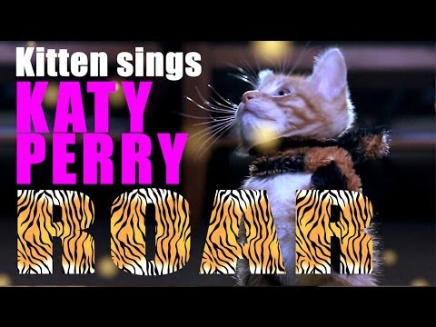 Katy Perry - Roar Parody - Kitty Purry - Meow - UCPIvT-zcQl2H0vabdXJGcpg
