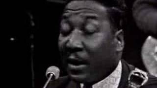 Muddy Waters - You Can't Loose What Your Never Had