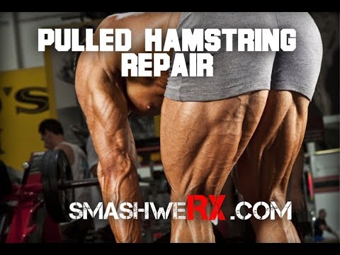 Pulled Hamstring Repair and Prevention | Trevor Bachmeyer | SmashweRx - UC4BvkJe2U4CnenW61nm_HOQ