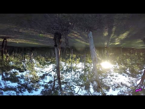 FPV - playtime - UC_ln1TA-w4bahRI7yN0TcJA