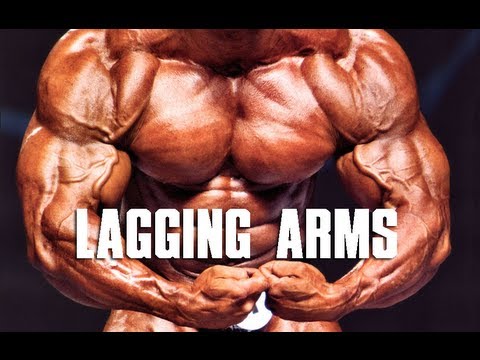 Bringing Up Lagging Arms - UCNfwT9xv00lNZ7P6J6YhjrQ