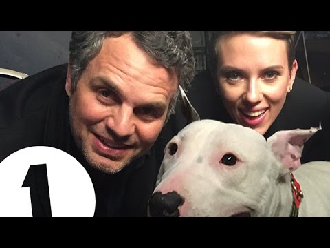 Pig (the dog) interviews Scarlett Johansson and Mark Ruffalo - UC-FQUIVQ-bZiefzBiQAa8Fw