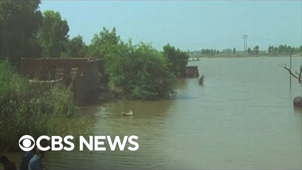 World Food Programme looks to expand aid in Pakistan amid devastating flooding