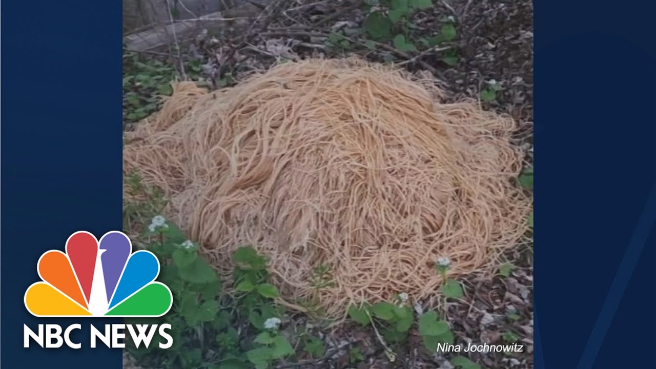 New Jersey neighbors find source of mystery pasta piles