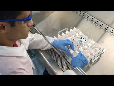 A machine that automates the growing of human cells - UCCjyq_K1Xwfg8Lndy7lKMpA