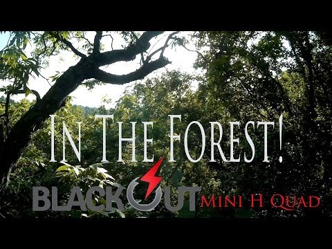 In The Forest! Blackout mini H Quad - UCkucB41SgYGTLe-_z-I4MJw