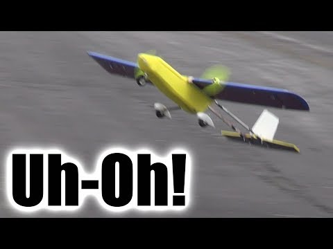 RC plane - lots of wind, not much power - UCQ2sg7vS7JkxKwtZuFZzn-g