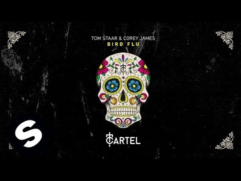 Tom Staar & Corey James - Bird Flu - UCpDJl2EmP7Oh90Vylx0dZtA