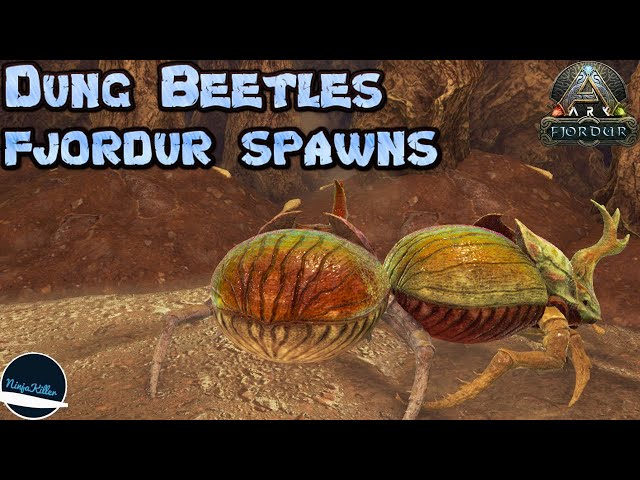 Dung Beetle Spawn Locations in Fjordur - Ark Survival Evolved