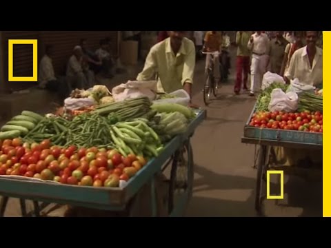 Diwali - Festival of Lights | National Geographic - UCpVm7bg6pXKo1Pr6k5kxG9A